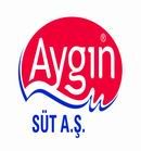 aygın