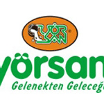 yorsan2